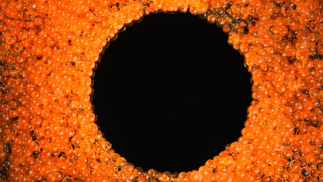 Red caviar background with black frame for your text, rotating backdrop. Close-up of salmon fish roe caviar. Delicatessen. Texture of trout caviare 