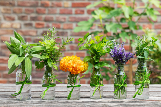 Herbs and edible flowers cultivated in balcony garden