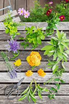 Herbs and edible flowers on wooden balcony table