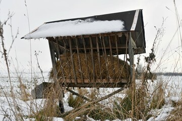 A snowy hay rack in the winter. Feeding rack filled with hay and ready for winter wildlife feeding. Concept of the end of the shooting season and preparation for winter feeding of game