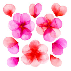 Watercolor abstract pink flowers set isolated on a white background.