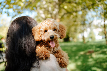 Woman with long hair carrying poodle dog in park