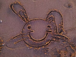 모래 위의 토끼 그림