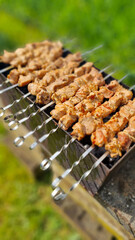 Leckere Schaschlik-Spieße im Sommer grillen. 