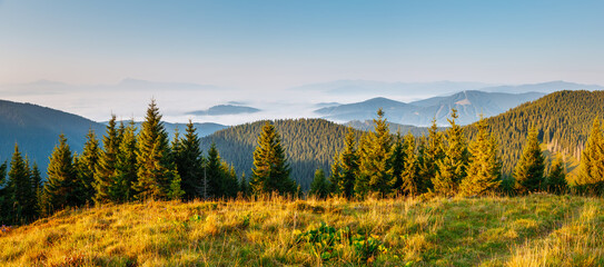 A gorgeous landscape of wooded slopes and distant mountain ranges. Carpathian mountains, Ukraine, Europe.