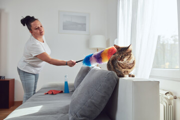 Woman cleaning couch sofa in the apartment with the cat friend.