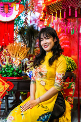 Beautiful Vietnamese woman in traditional vietnamese dress in Tet  Lunar New Year
