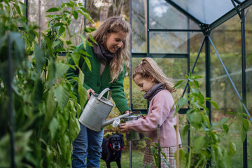 Little girl and mother watering plants in garden, using collected rainwater. Concept of water...