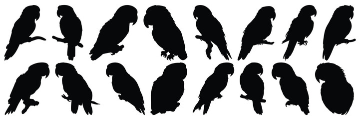 Parrot tropic silhouettes set, large pack of vector silhouette design, isolated white background - obrazy, fototapety, plakaty