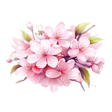 Pink sakura blossom watercolor isolated, generative ai