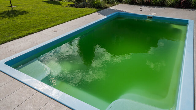 Green water in a home pool in the backyard of a house. Bloomed due to incorrect dosage of chemicals