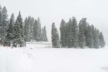 Lenzerheide, Valbella, Heidsee, Bergsee, Uferweg, Wanderweg, Winterwanderung, Langlauf, Loipe, Winterlandschaft, Seeufer, Alpen, Wald, Tannen, Eis, Winter, Schnee, Schneefall, Graubünden, Schweiz
