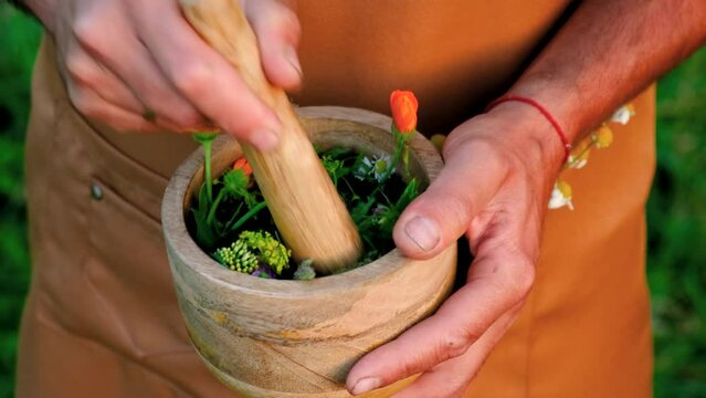 a man collects medicinal herbs in his hands. Selective focus. nature.