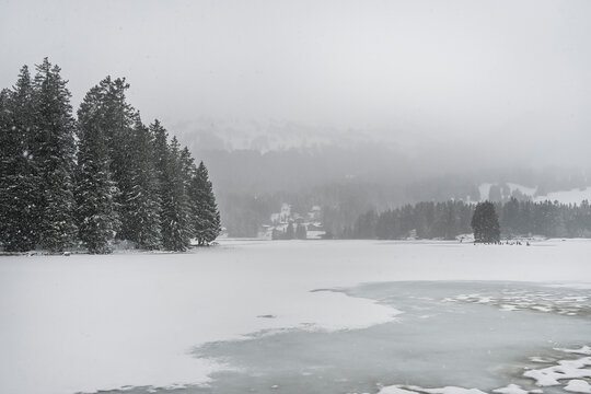 Lenzerheide, Valbella, Heidsee, Bergsee, Uferweg, Wanderweg, Winterwanderung, Langlauf, Loipe, Winterlandschaft, Seeufer, Alpen, Wald, Eis, Winter, Nebel, Schnee, Schneefall, Graub&uuml;nden, Schweiz