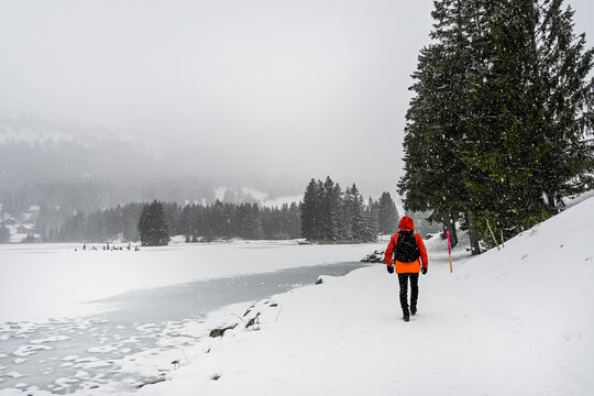 Lenzerheide, Valbella, Heidsee, Bergsee, Uferweg, Wanderweg, Winterwanderung, Wanderer, Winterlandschaft, Seeufer, Alpen, Wald, Tannen, Eis, Schnee, Schneefall, Winter, Graub&uuml;nden, Schweiz