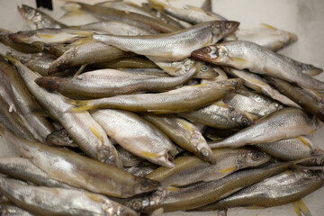 Frozen fish in a store. RUB department in a supermarket. Seafood on ice.