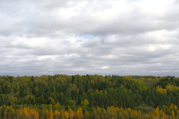 Obraz premium Late autumn in a wild forest area. Low rain clouds over trees on the horizon. Aerial drone shot. Winter moody wood view. Distant mysterious nature landscape. Woodland Valley with a Lake in the far. 4K