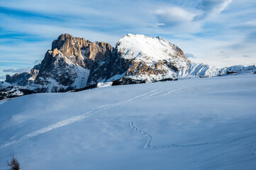 The largest high altitude plateau in Europe in winter. Snow and winter atmosphere on the Alpe di Siusi. Dolomites.