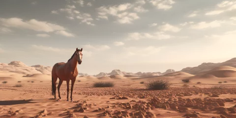 camel in the desert © Saim