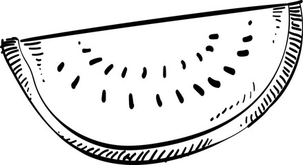 watermelon handdrawn illustration