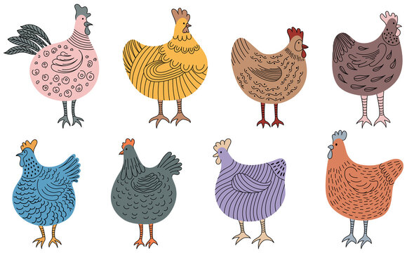 Set of hand-drawn doodle hen. Chicken illustration isolated on white. Colorful isolated domestic birds hand drawn.