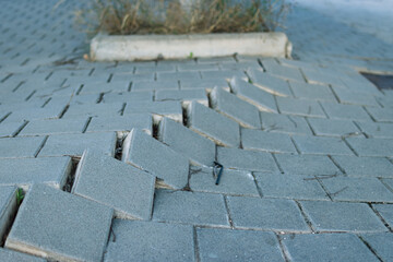 damaged gray paving slabs in a park, close-up with space for an inscription