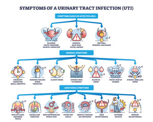 Symptoms of urinary tract infection or UTI bladder disease outline diagram. Labeled educational scheme with affected area, general and additional symptomatic for urology problem vector illustration. - obrazy, fototapety, plakaty