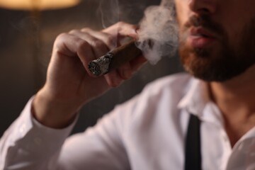 Bearded man smoking cigar indoors, closeup view