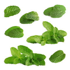 Fresh mint leaves isolated on white, set