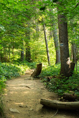 Bieszczady, Polska, Ukraina, Słowacja