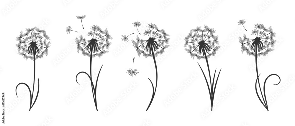 Wall mural set of dandelions with flying fluffy seeds. sketch, black and white illustration, vector - Wall murals