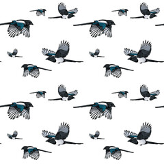Magpies in flight, seamless pattern with birds. Vector illustration of a magpie isolated on a white background.