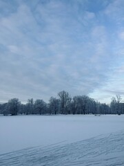 Winter park, snowy winter city park 