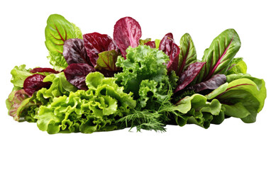 Mixed Greens On Isolated Background
