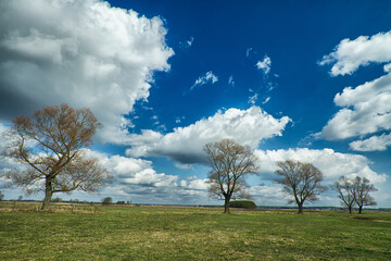 Landscape fields meadows and trees in Narew river valley, Poland Europe, meadows with willow birch trees, early spring time - old vintage filters