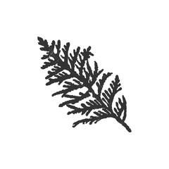 Illustration of cedar branch. Merry Christmas and Happy New Year plant. 