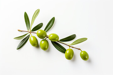 Fototapeta na wymiar a branch of olives with green leaves on a white surface