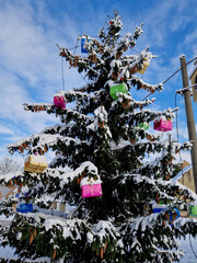 colorful gift boxes in bright colors are hung on a spruce tree covered with large layers of snow....
