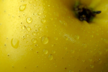 Yellow ripe apple with dew drops on the peel
