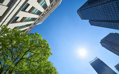 高層ビルを見上げる緑のあるオフィス街の風景