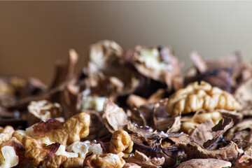 Walnut kernels mixed with broken shells spread over the table close-up.