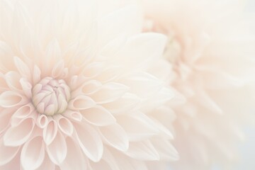 Obraz premium Flowers background in peach color, 2024 year trend
