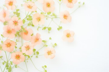 Floral background in peach color, 2024 year trends