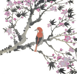 Peach Blossom