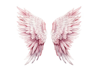 Pink angel wings isolated on transparent background