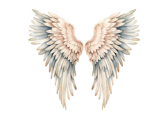 Obraz premium White angel wings isolated on transparent background