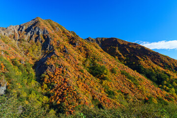 紅葉の那須岳登山　日本百名山