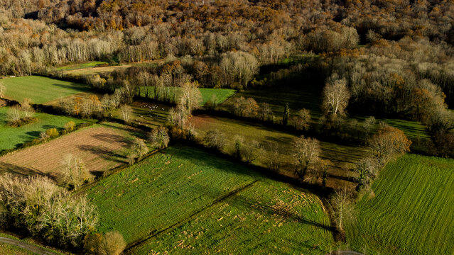 paysage automnal