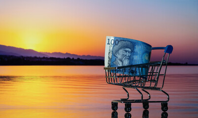 A 100 Kyrgyz som banknote in a miniature shopping cart against the backdrop of the Issyk-Kul...