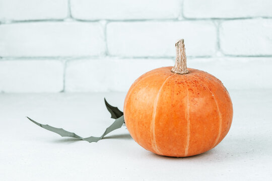 Pumpkins and symbols of Halloween. Close-up.
